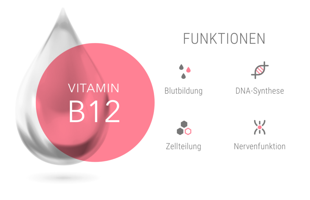 B12_3